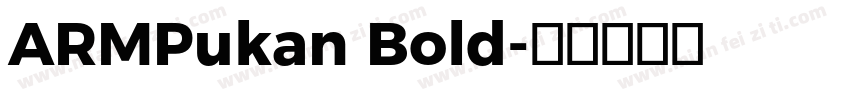 ARMPukan Bold字体转换
